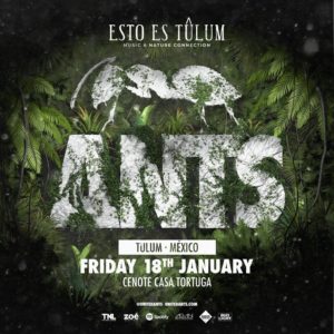 Esto Es Tulum and its all-star cast!