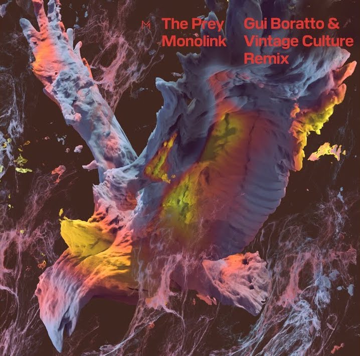 Gui Boratto and Vintage Culture throw their own spin on ‘The Prey’!