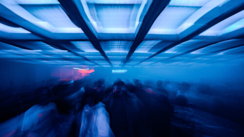 Rex Club Light Speed